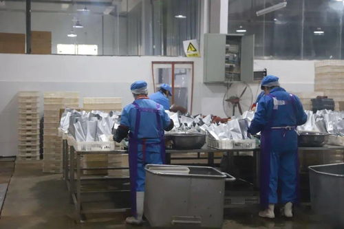 排查冷鏈冷凍產品，守護舌尖上的安全 —— 網絡服務如何筑牢餐桌防線